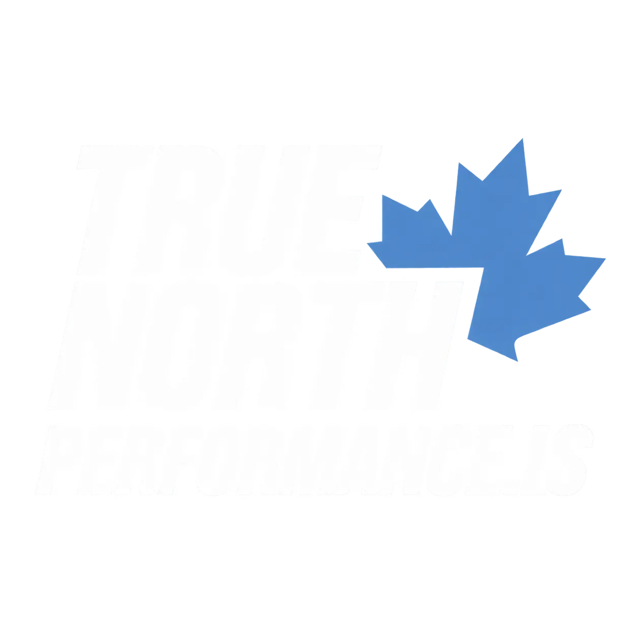 True North Performance.IS